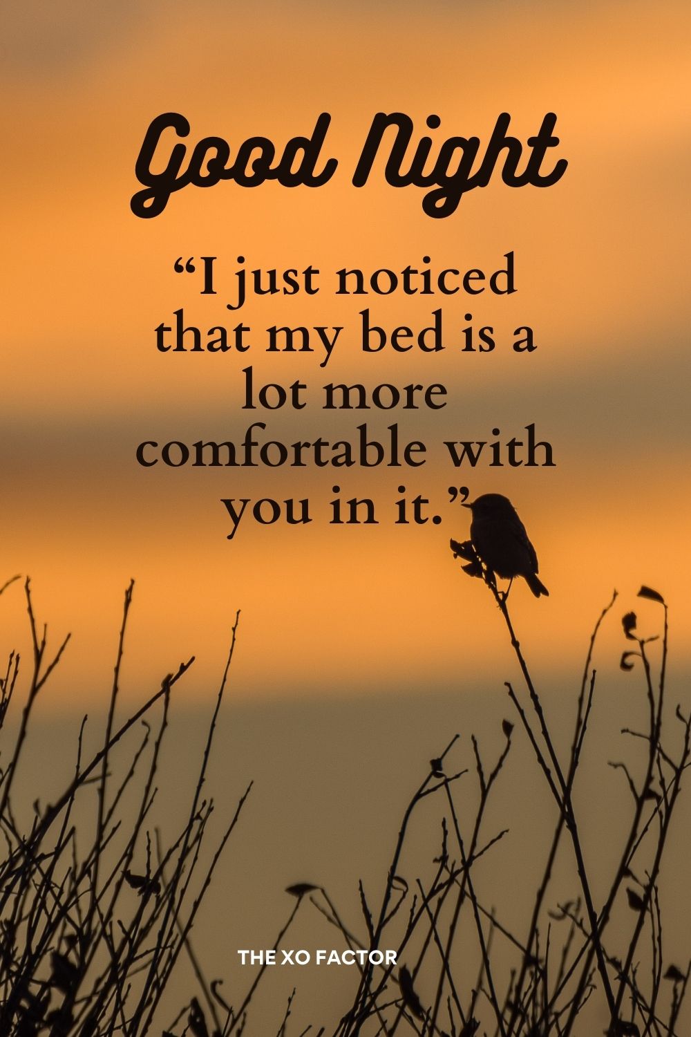 “I just noticed that my bed is a lot more comfortable with you in it.”