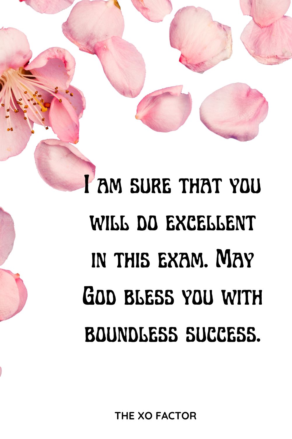 I am sure that you will do excellent in this exam. May God bless you with boundless success.