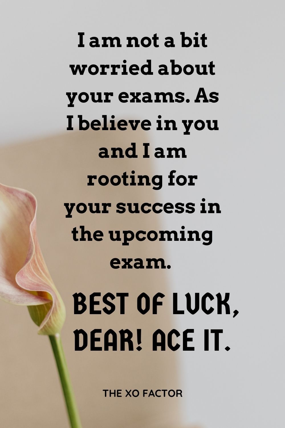 I am not a bit worried about your exams. As I believe in you and I am rooting for your success in the upcoming exam. Best of luck, dear! Ace it.
