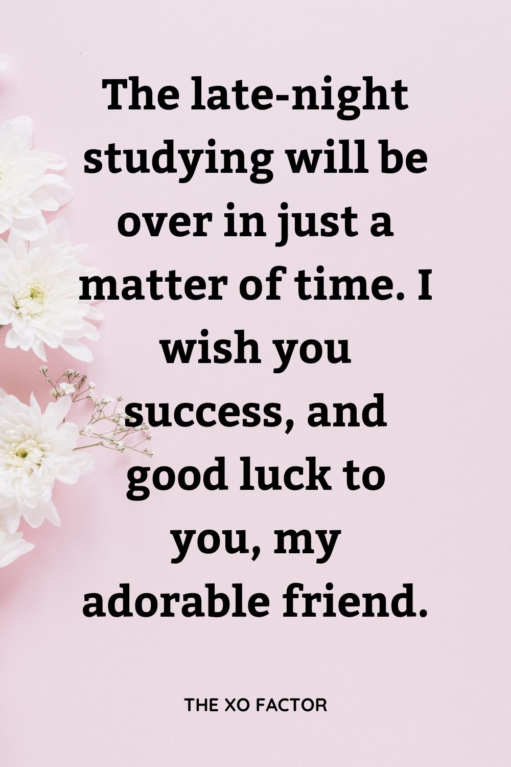 The late-night studying will be over in just a matter of time. I wish you success, and good luck to you, my adorable friend.