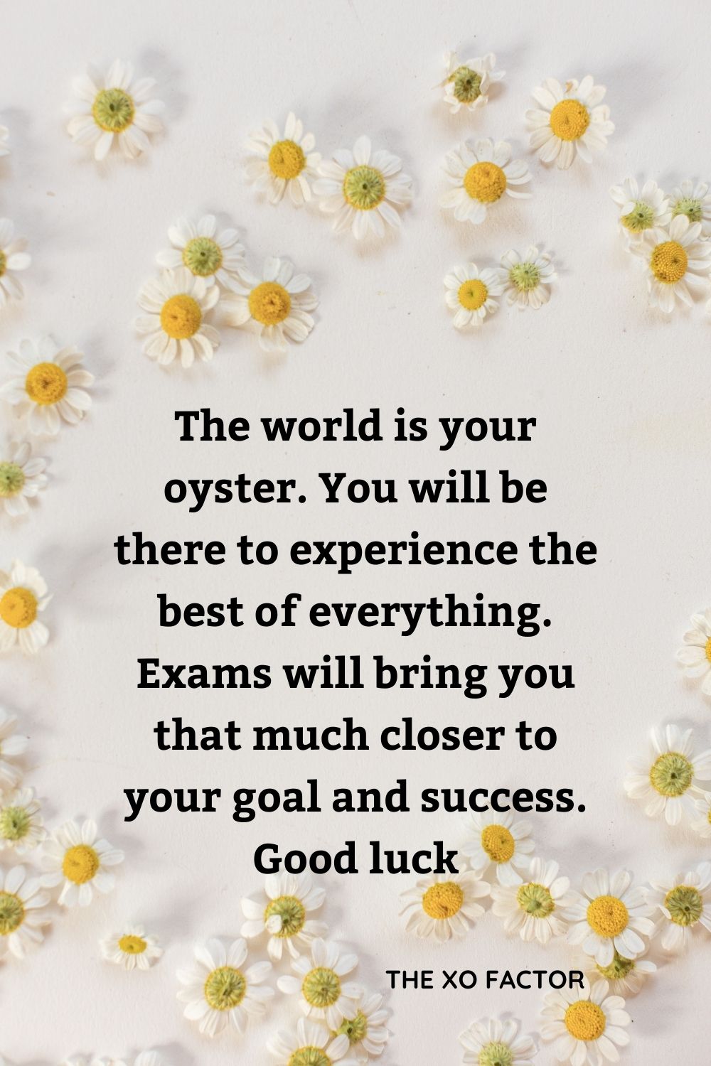 The world is your oyster. You will be there to experience the best of everything. Exams will bring you that much closer to your goal and success. Good luck