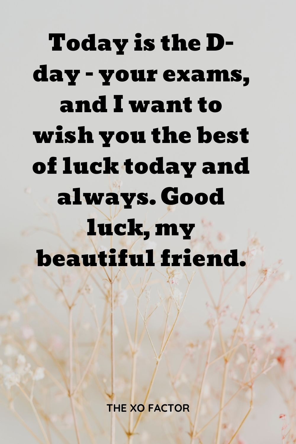 Today is the D-day – your exams, and I want to wish you the best of luck today and always. Good luck, my beautiful friend.