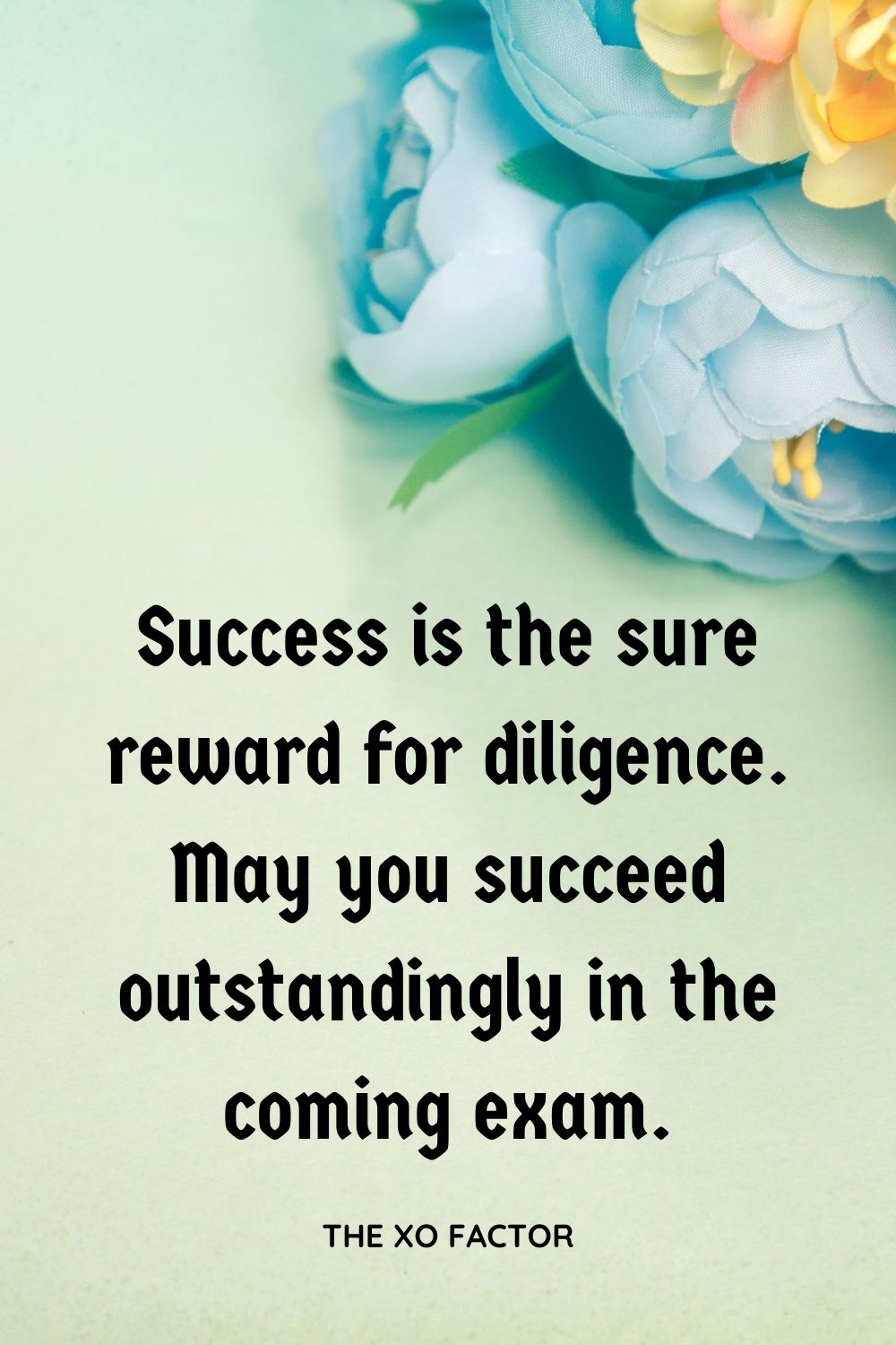 Success is the sure reward for diligence. May you succeed outstandingly in the coming exam.
