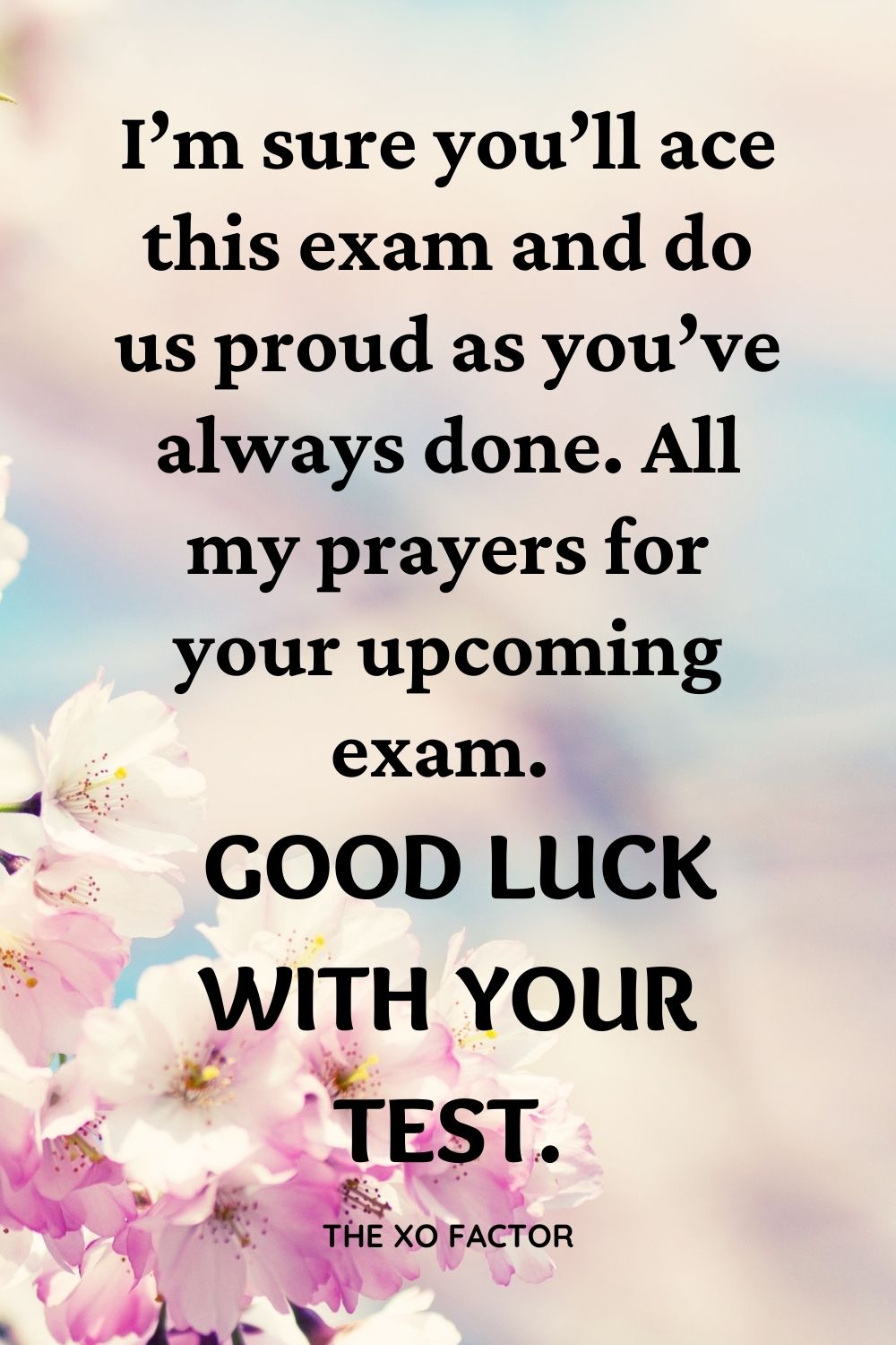 I’m sure you’ll ace this exam and do us proud as you’ve always done. All my prayers for your upcoming exam. Good luck with your test.