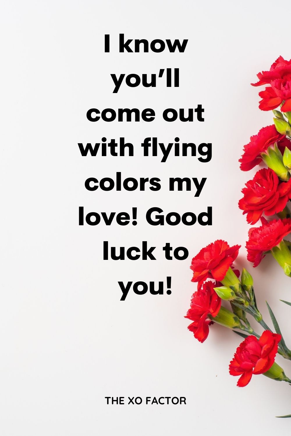 I know you’ll come out with flying colors my love! Good luck to you!