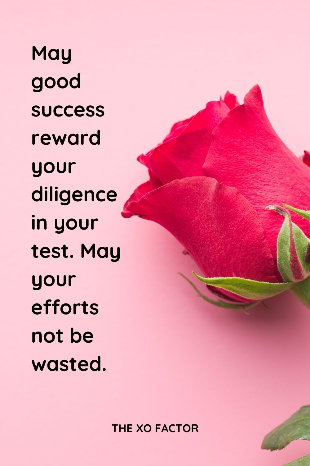May good success reward your diligence in your test. May your efforts not be wasted. 