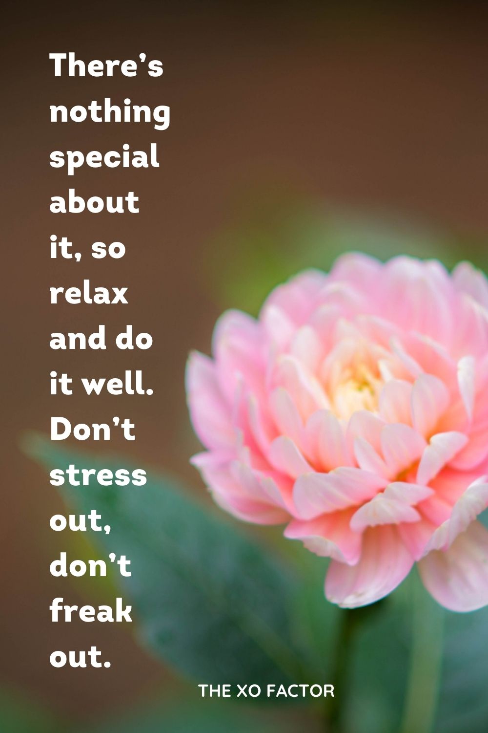 There’s nothing special about it, so relax and do it well. Don’t stress out, don’t freak out.