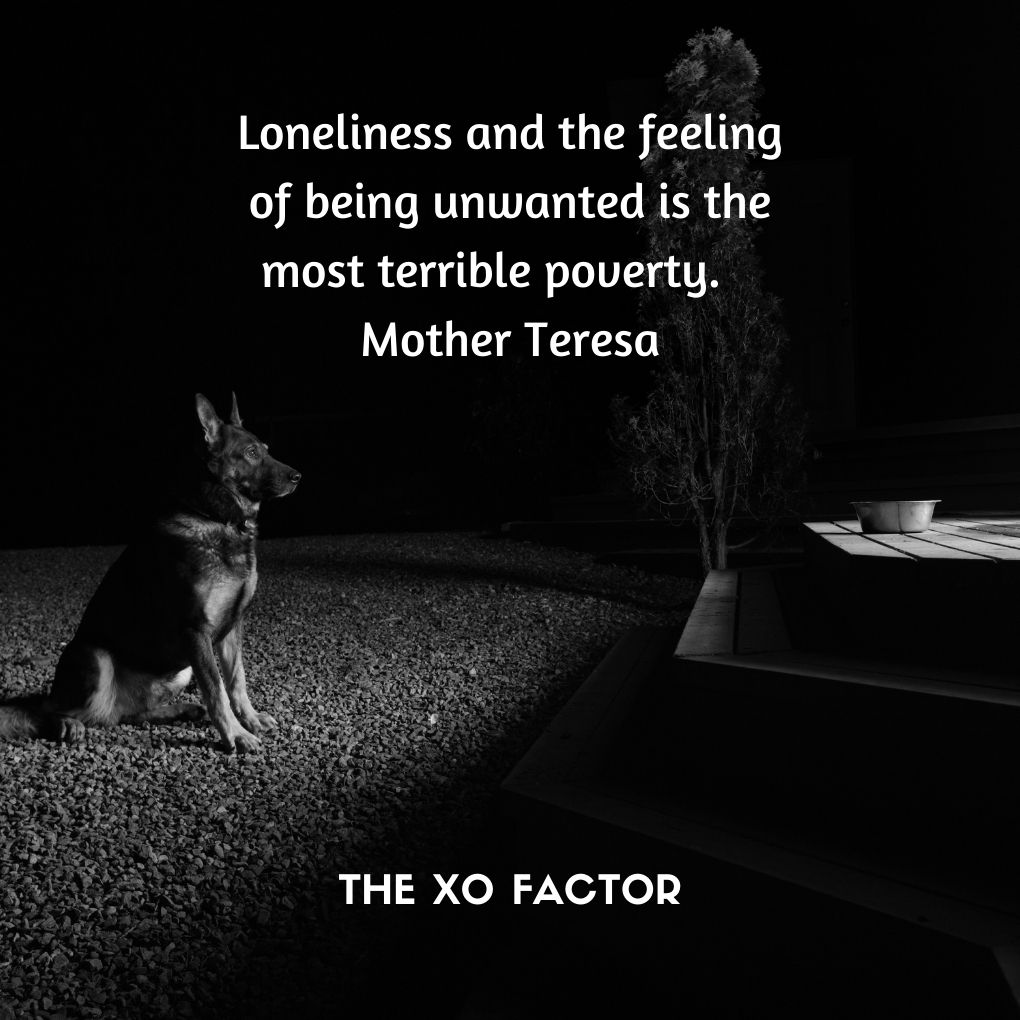 Loneliness and the Loneliness and the feeling of being unwanted is the most terrible poverty.   Mother Teresa