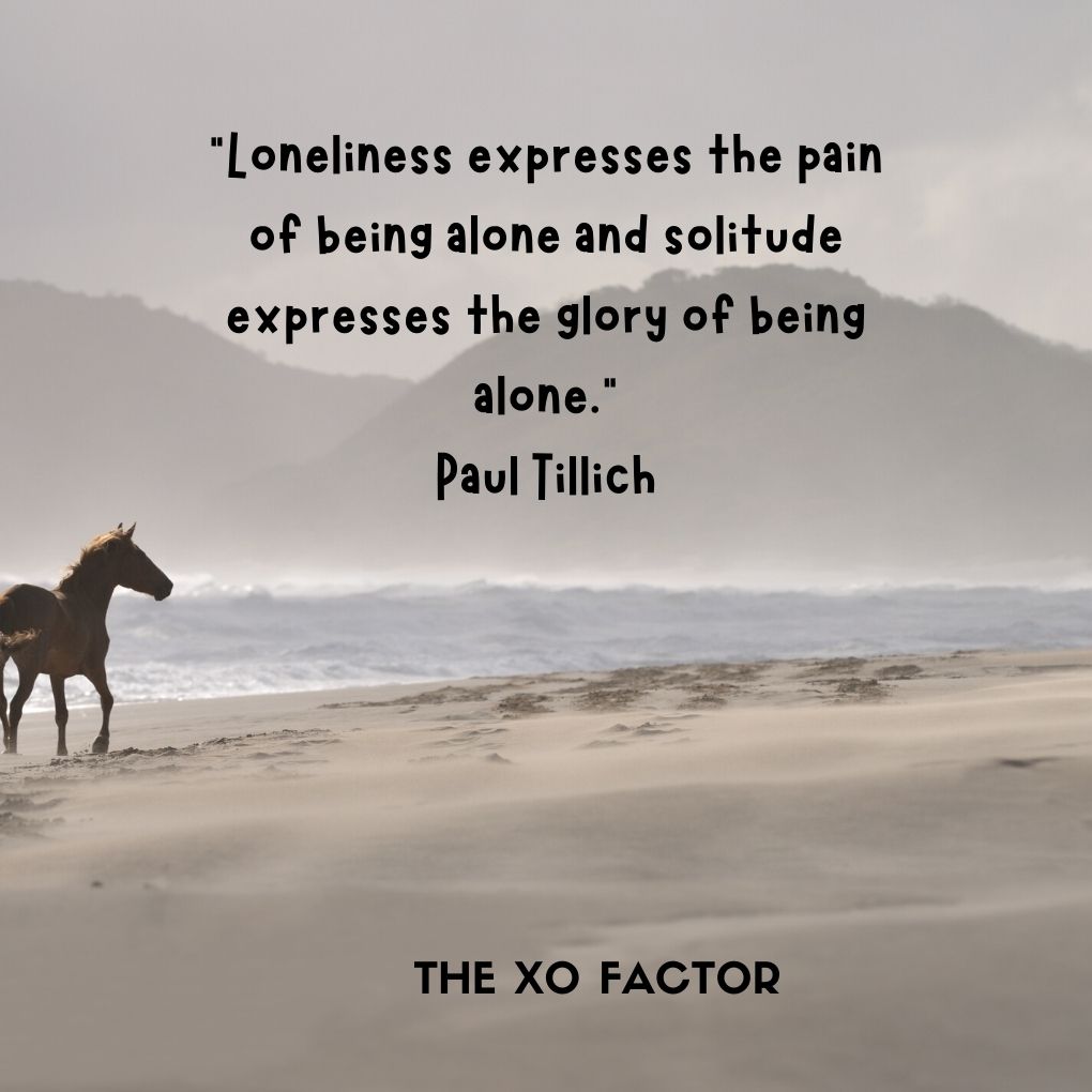 “Loneliness expresses the pain of being alone and solitude expresses the glory of being alone.” -Paul Tillich