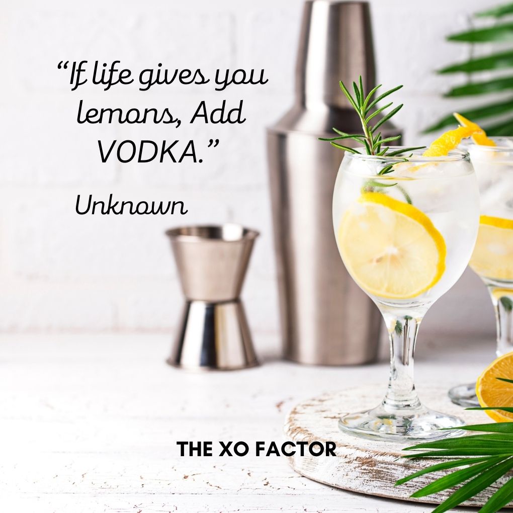 “If life gives you lemons, Add VODKA.” — Unknown