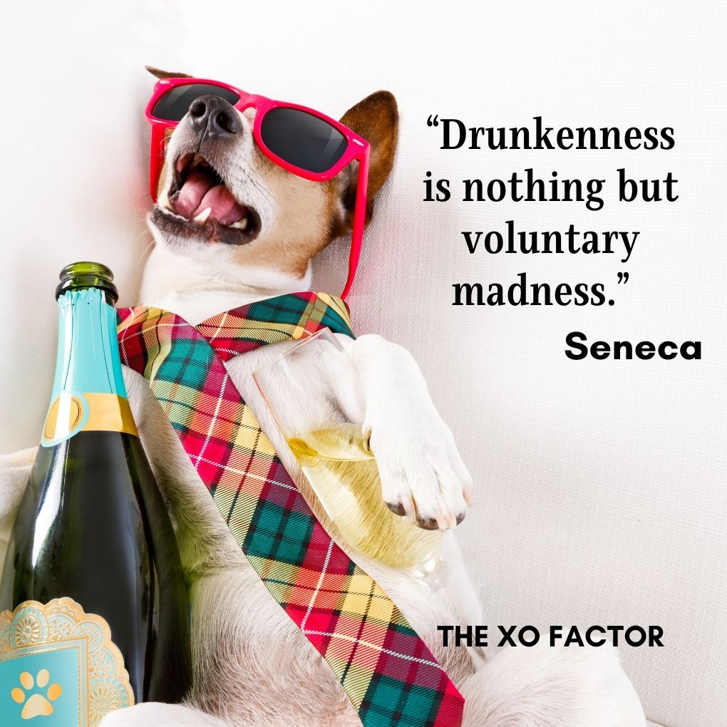 “Drunkenness is nothing but voluntary madness.” — Seneca