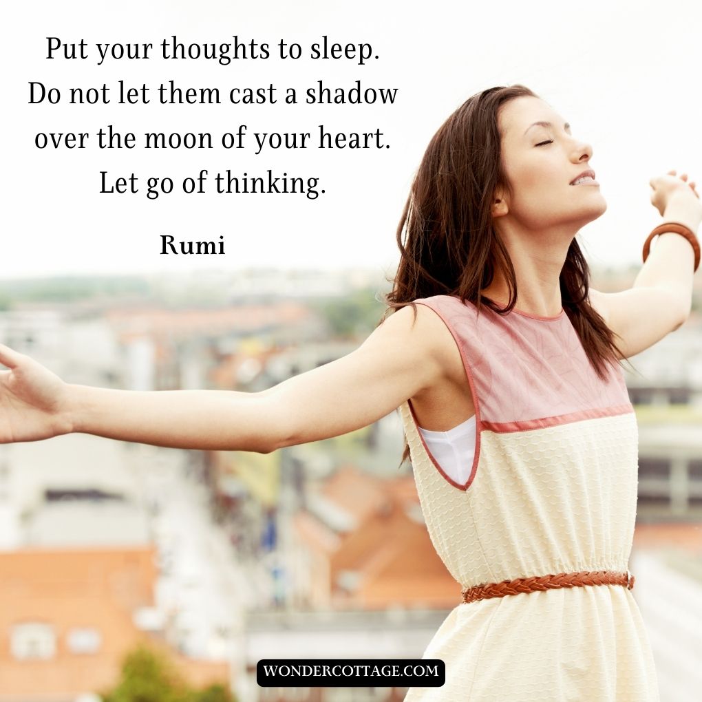 Put your thoughts to sleep. Do not let them cast a shadow over the moon of your heart. Let go of thinking.
Rumi.