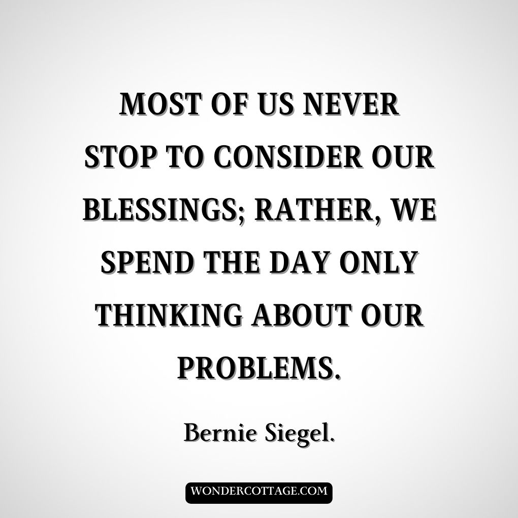 Most of us never stop to consider our blessings; rather, we spend the day only thinking about our problems.
Bernie Siegel.