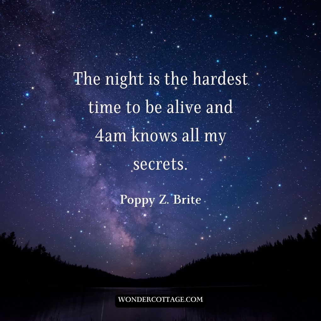 The night is the hardest time to be alive and 4 am knows all my secrets.
Poppy Z. Brite