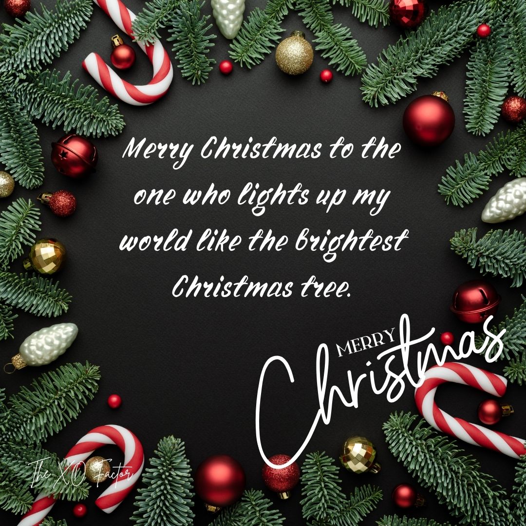 Merry Christmas to the one who lights up my world like the brightest Christmas tree.