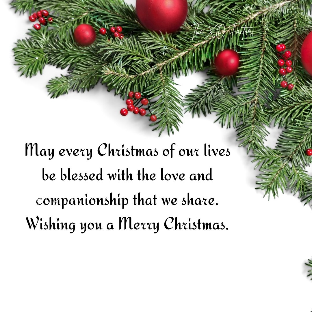 May every Christmas of our lives be blessed with the love and companionship that we share. Wishing you a Merry Christmas.