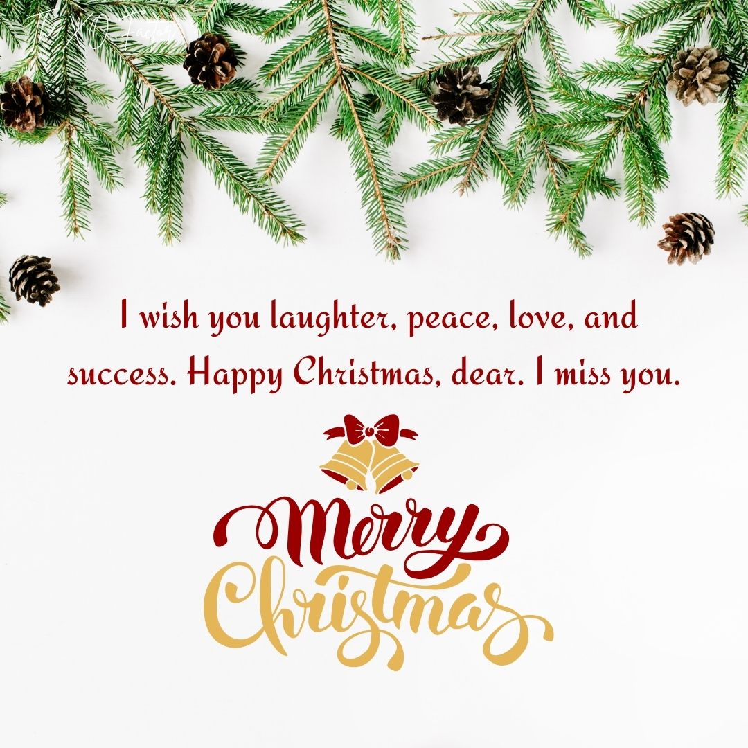  I wish you laughter, peace, love, and success. Happy Christmas, dear. I miss you.