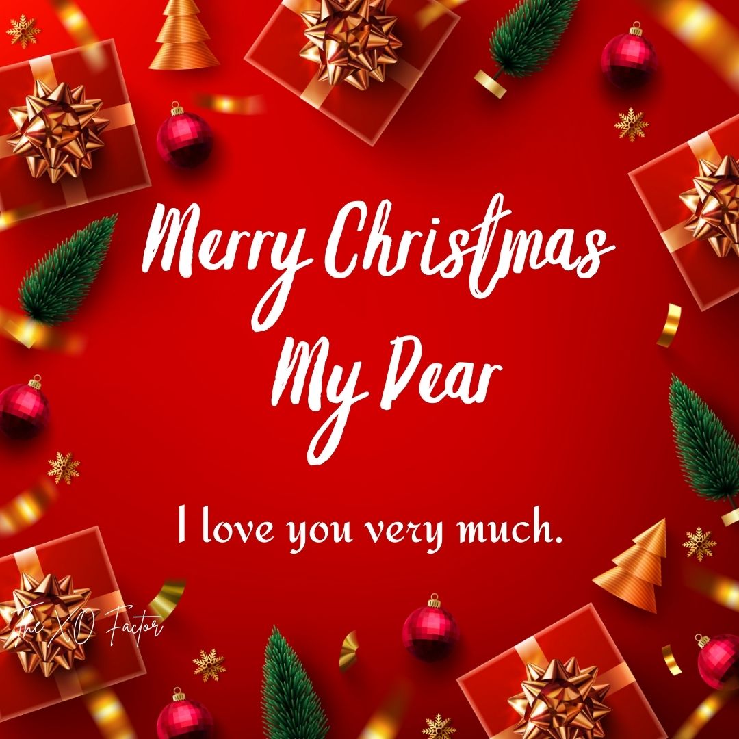Merry Christmas my dear. I love you very much. Christmas Messages For Girlfriend