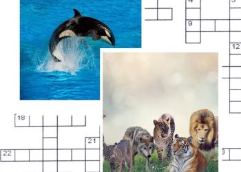 Animals Crossword Puzzle