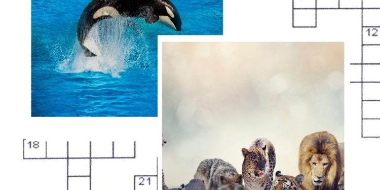 Animals Crossword Puzzle