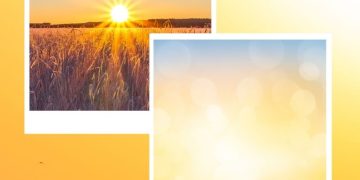 200 Catchy Sunrise Captions For Instagram